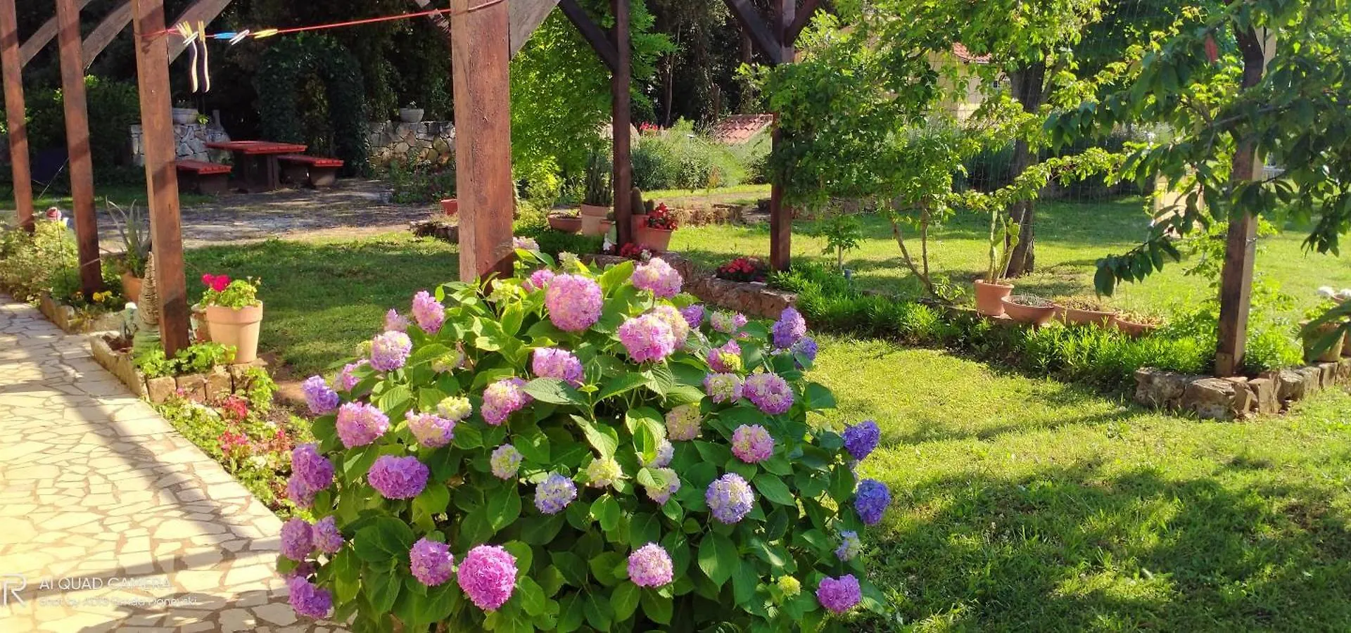 Apartmani Nina Sisan Apartment